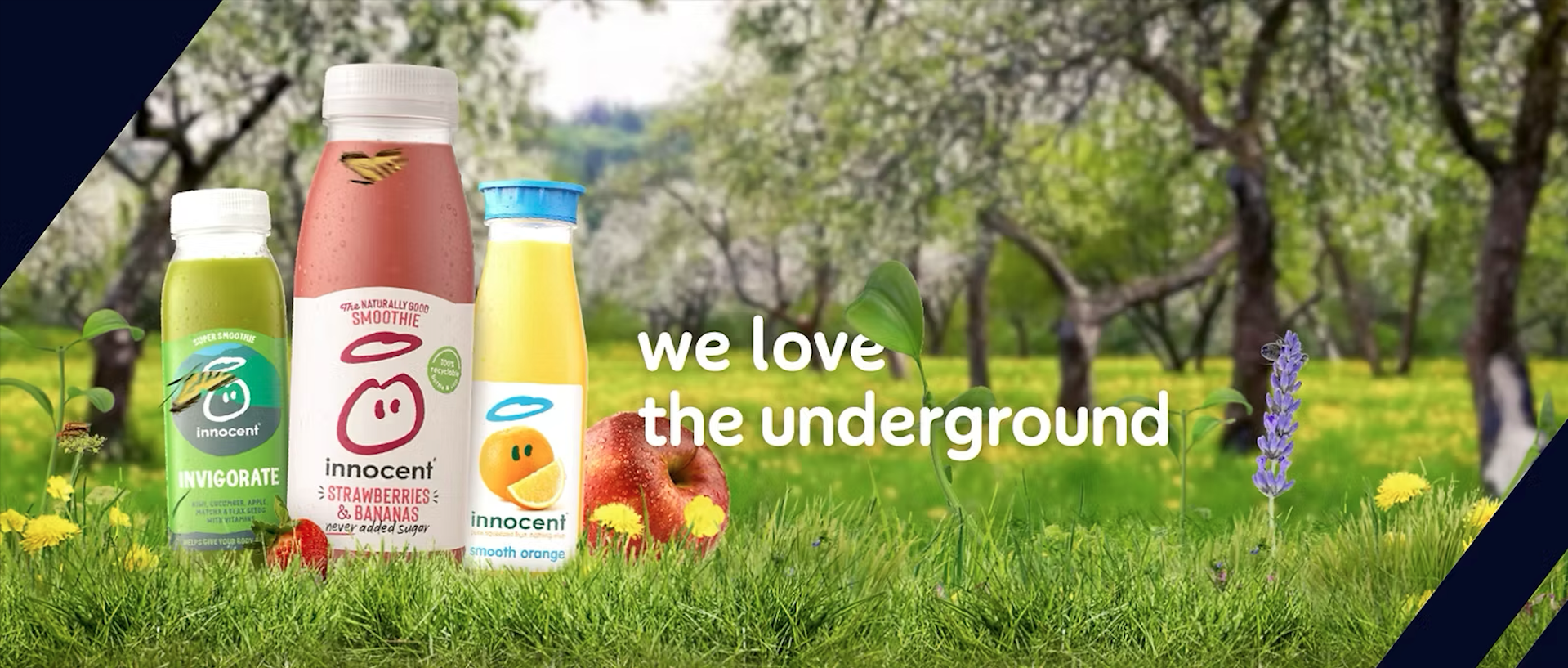 We love the underground case study