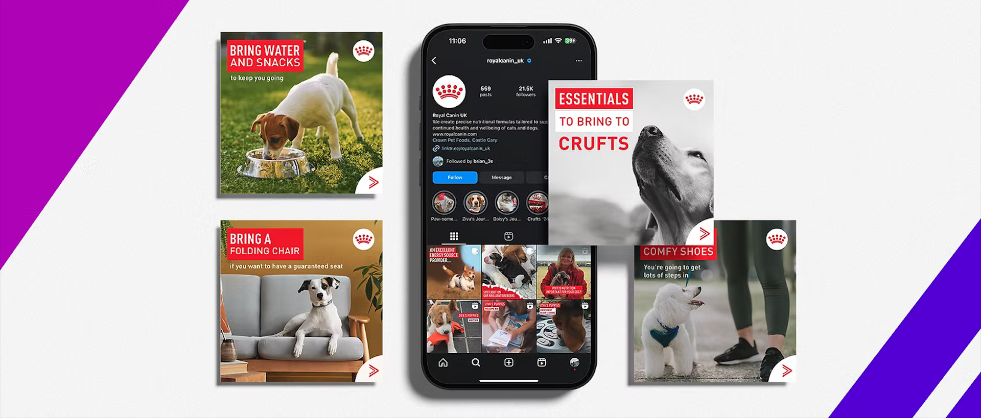 Royal Canin Crufts Sponsorship Social case study