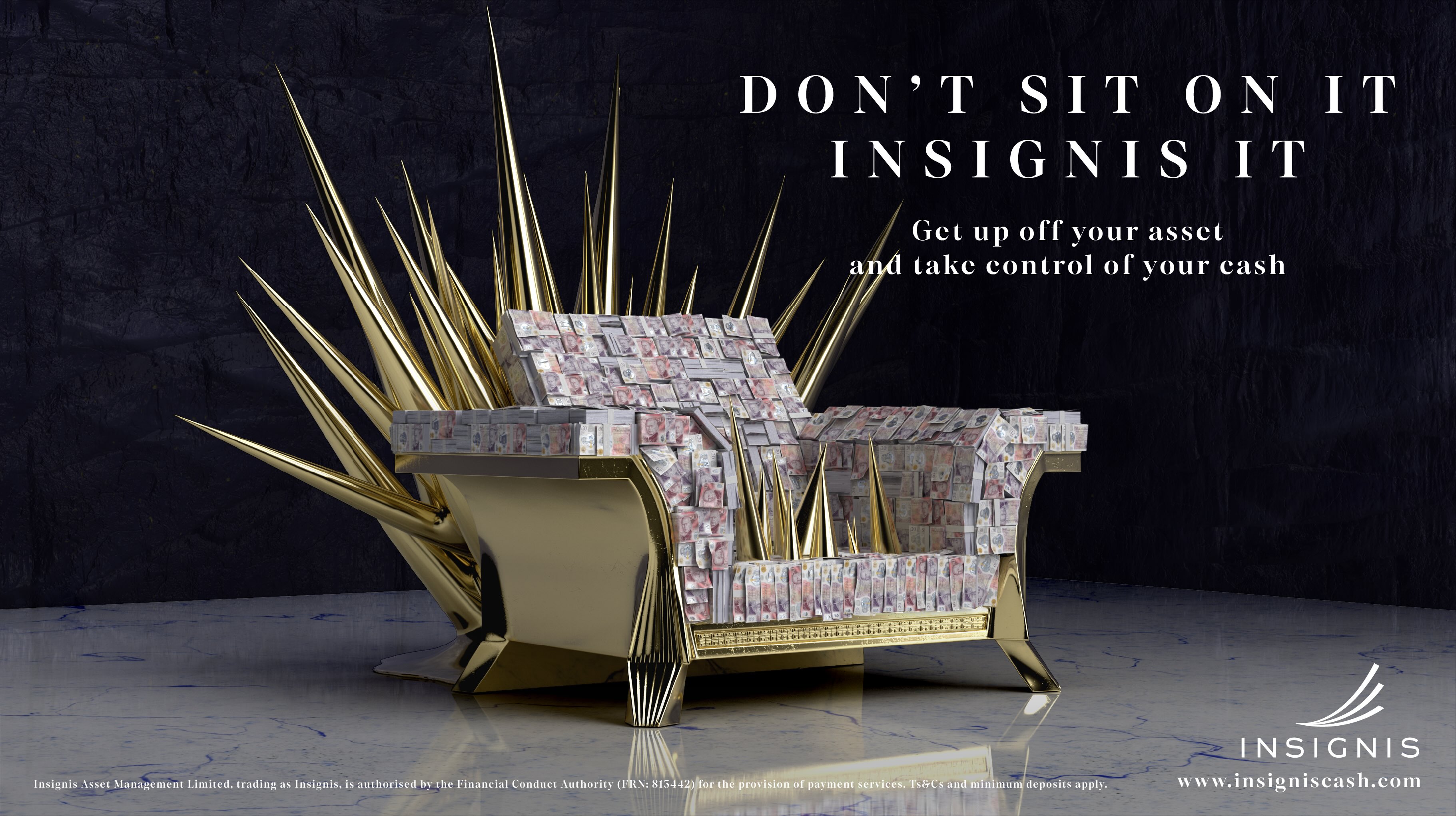 Insignis - Alerting the cash-rich to the dangers of sitting on their assets case study