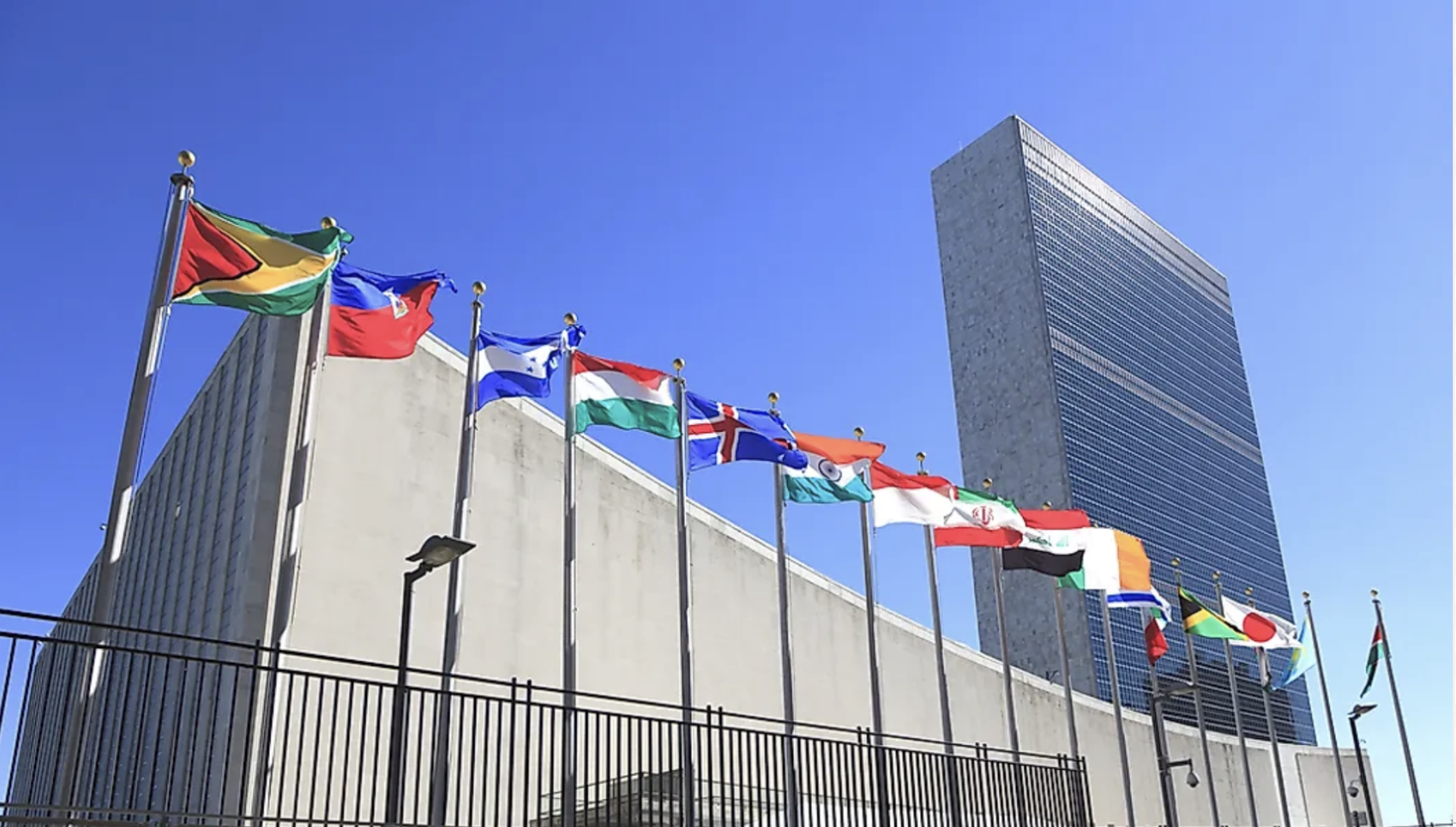 And the United Nations case study