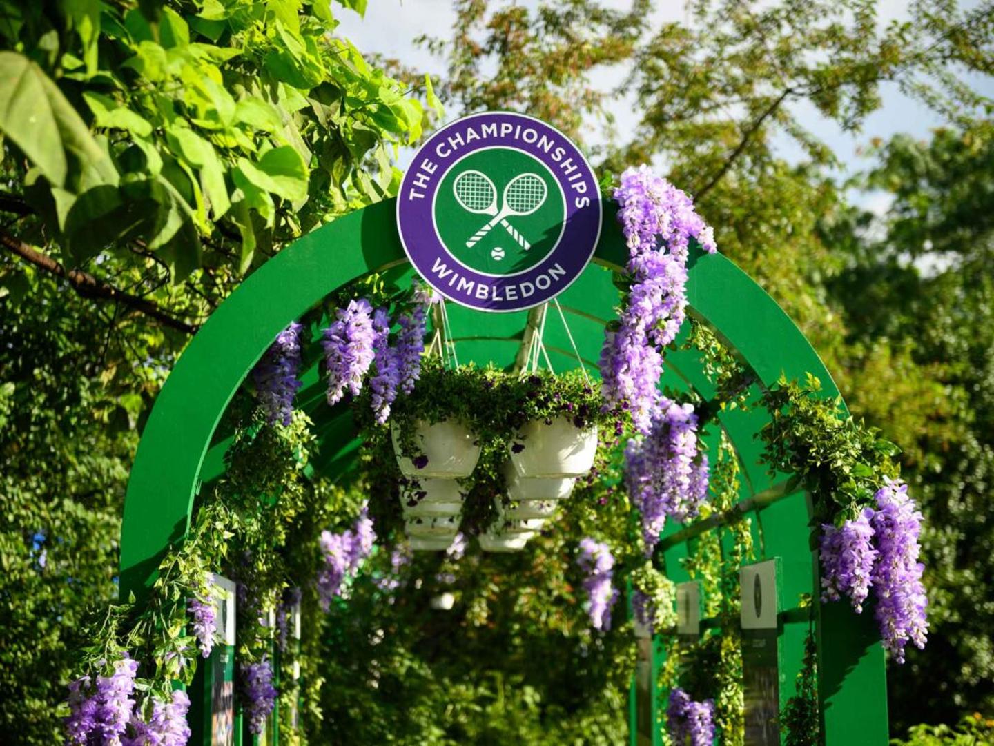 WIMBLEDON: THE HILL IN NEW YORK case study