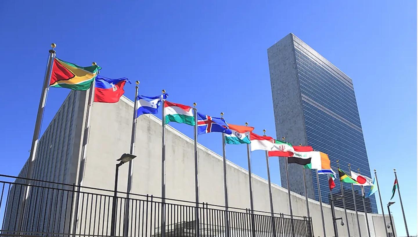 And the United Nations case study
